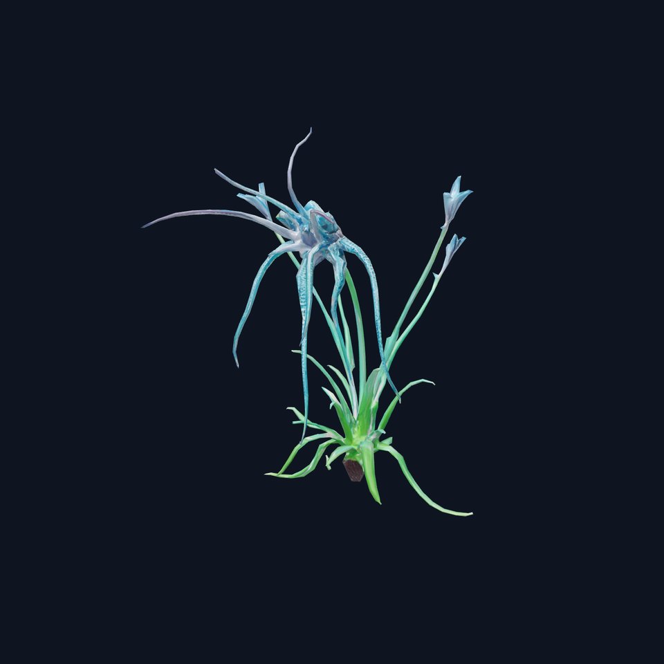 Teal Alien Plant model pack